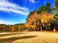 Burr Pond state park autumn view Royalty Free Stock Photo