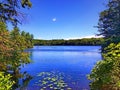 Burr Pond state park summer view Royalty Free Stock Photo