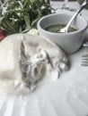 Burrata cheese that is filled with soft, stringy curd and cream.