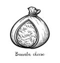 Burrata cheese ink sketch.