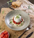 Burrata cheese resting on hummus Royalty Free Stock Photo