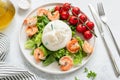 Burrata salad with shrimps, lettuce, tomatoes and olive oil