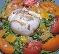 Burrata salad with tomatoes Royalty Free Stock Photo