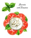 Burrata with tomatoes isolated background