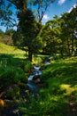 River Running Into Burrator Reservoir