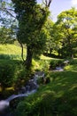 River Running Into Burrator Reservoir