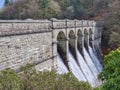 Burrator Reservoir Dartmoor uk