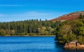 Burrator Reservoir in Dartmoor National Park