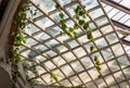 Burred light and shadow passing through glazed ceiling shines