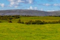 Burren mountains and vegetation in Kinvarra Royalty Free Stock Photo