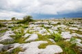 Burren National Park in Ireland, county Clare. Rough Irish nature. Beautiful landscape. Royalty Free Stock Photo