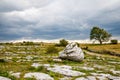 Burren National Park in Ireland, county Clare. Rough Irish nature. Beautiful landscape. Royalty Free Stock Photo