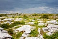 Burren National Park in Ireland, county Clare. Rough Irish nature. Beautiful landscape. Royalty Free Stock Photo