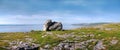 Burren rock Royalty Free Stock Photo