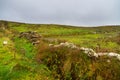 Burren Way, coastal path leading to Cliffs Moher, Ireland