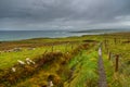 Burren Way, coastal path leading to Cliffs Moher, Ireland