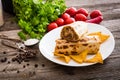 Burrito with chips and vegetables Royalty Free Stock Photo