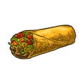 Burrito - mexican traditional food. Vector color vintage engraved