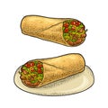 Burrito - mexican traditional food. Vector color vintage engraving Royalty Free Stock Photo