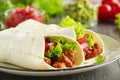 Burrito with pork Royalty Free Stock Photo