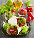 Burrito with pork Royalty Free Stock Photo