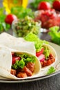 Burrito with pork Royalty Free Stock Photo