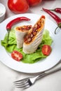 Burritos filled wiht minced meat, bean and vegetables. Royalty Free Stock Photo