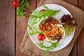 Burritos wraps with minced beef and vegetables Royalty Free Stock Photo