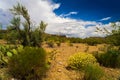 Burro Creek Wilderness Arizona