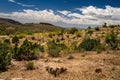 Burro Creek Wilderness Arizona