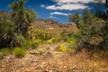 Burro Creek Wilderness Arizona