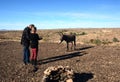 Feeding the Burros