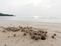 Burrow or hole with sediment balls or pellets made by sand Royalty Free Stock Photo