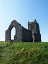 Burrow Mump Royalty Free Stock Photo