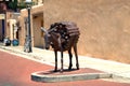 Burrow Stand Guard in Downtown Santa Fe