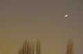 Bursa sky during foggy night. Crescent moon and trees.