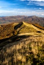 Burst of autumn colors in the mountains. Polonina Carynska, Bieszczady National Park, Carpathians, Poland Royalty Free Stock Photo