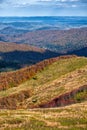 Burst of autumn colors in the mountains. Polonina Carynska, Bieszczady National Park, Carpathians, Poland Royalty Free Stock Photo