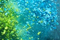 A burst of colorful blue-green particles. Abstract background with slpash Royalty Free Stock Photo