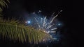 Burst of fireworks in the night sky. Action. Fireworks on a night sky Royalty Free Stock Photo