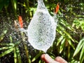 Burst Water Balloon with Bamboo Background Royalty Free Stock Photo