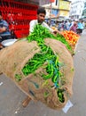 BURSTING GREEN PEPPERS,RAJASTHAN,INDIA