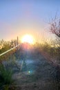 Bursting Lg Pastel Golden Sunset Sunburst Rays Sun Flares Sunbeam Desert LandScape Sky Scene Nature Photography