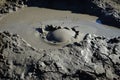 Bursting mud bubble of mud volcano Royalty Free Stock Photo