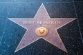 Burt Reynolds Hollywood Star