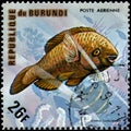 BURUNDI - CIRCA 1974: postage stamp, printed in Burundi, shows a Royalty Free Stock Photo