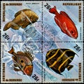 BURUNDI - CIRCA 1974: stamps, printed in Burundi, shows a fish: Priacanthus arenatus, Pomacanthus arcuatus, Scarus guacamaia, Zeus