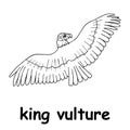 Kids line illustration coloring king vulture. outline vector for children. cute cartoon characters