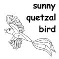 Kids line illustration coloring sunny quetzal bird. animal outline