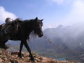 Buryatia. Baikal. The Shumak Pass 2760 meters Royalty Free Stock Photo